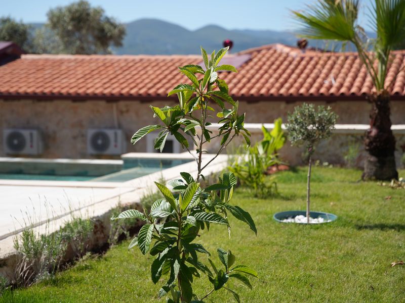 Emin Stone Village 36