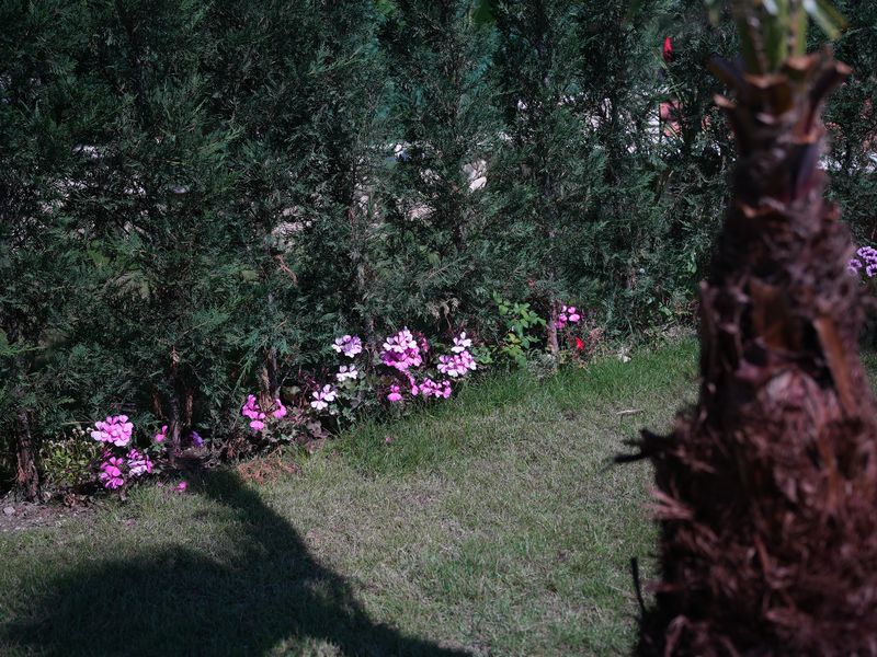 Emin Stone Village 184