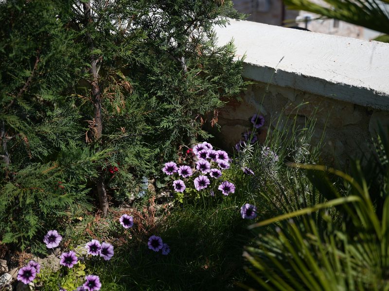 Emin Stone Village 185