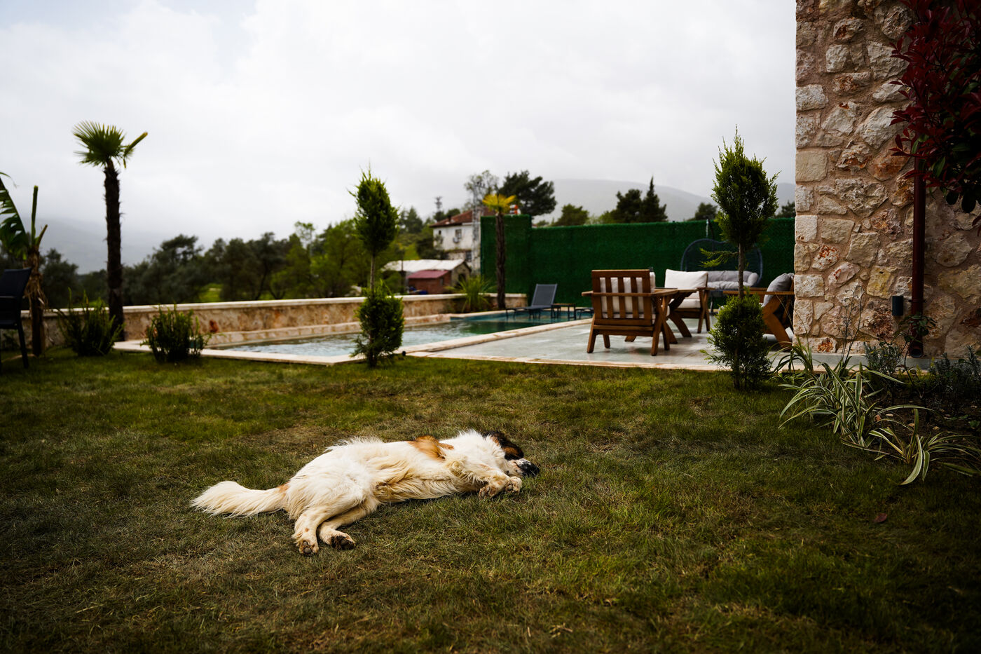 PATARA - Fotoğraf 11